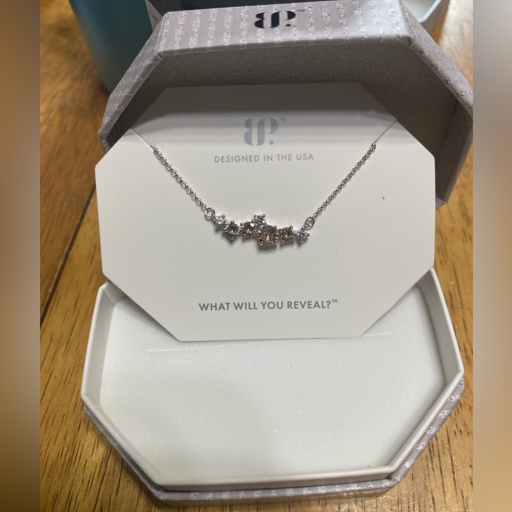 Sterling Club BP Necklace